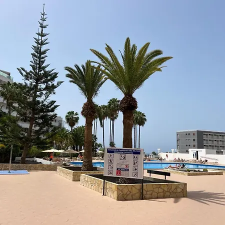 Vina De Mar Cosy Apartamento *